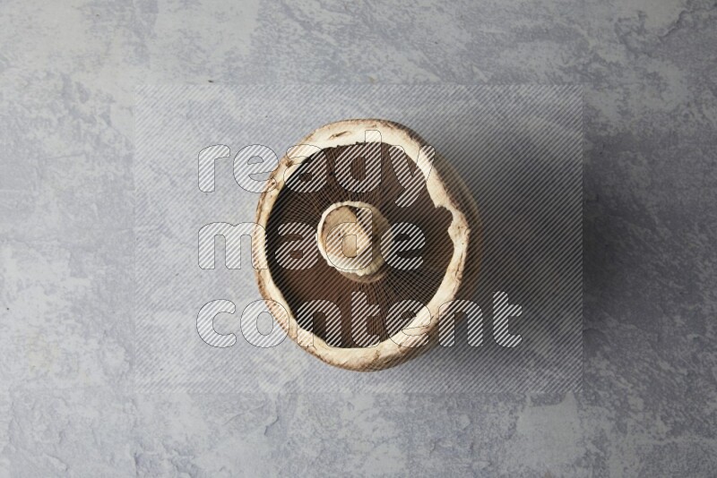 Fresh portobello mushrooms topview  on a light blue background