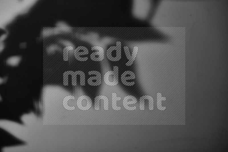 يظهر ضوء غوبو خافت ظلال أوراق نبات تسقط على سطح ناعم