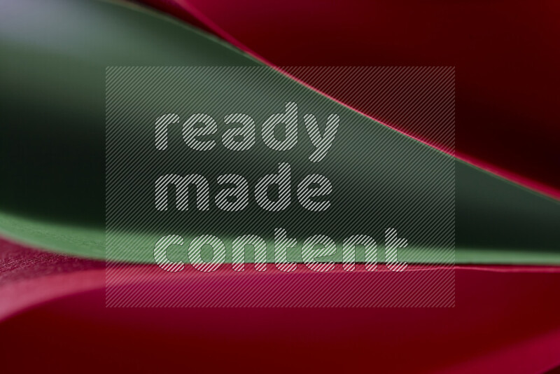 فن تجريدي يعرض المنحنيات المرتبة للأوراق باللون الأحمر والأخضر