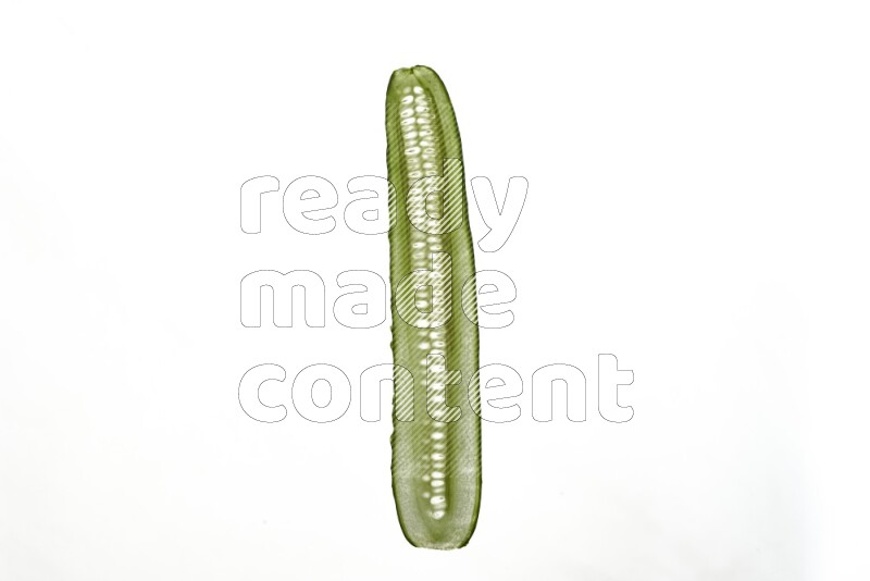 Cucumber slices on illuminated white background