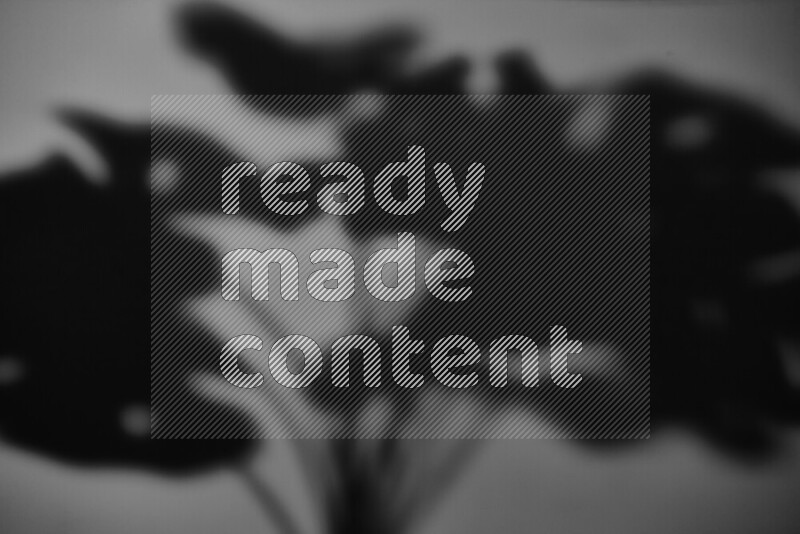 يظهر ضوء غوبو خافت ظلال أوراق نبات تسقط على سطح ناعم