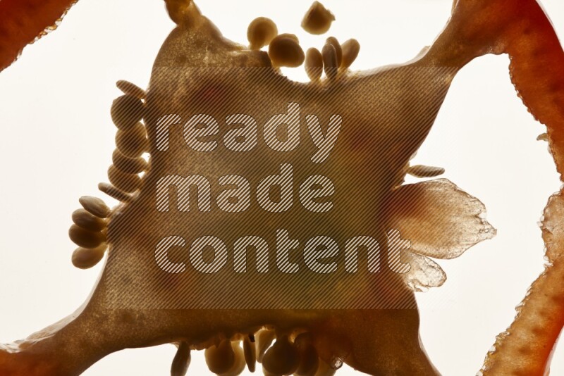 شرائح الفلفل الأحمر الحلو علي خلفية بيضاء مضيئة