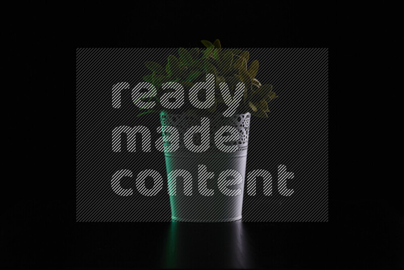 Plastic potted plant with colored rim light against black background