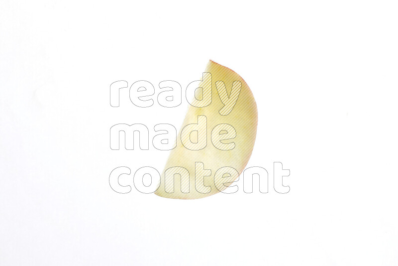 Apple slices on illuminated white background