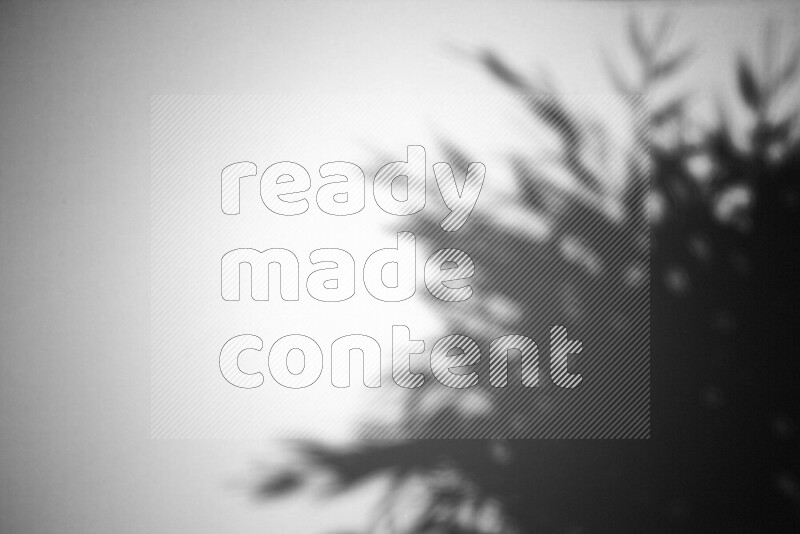 يظهر ضوء غوبو خافت ظلال أوراق نبات تسقط على سطح ناعم